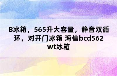 海信BCD-565WT/B冰箱，565升大容量，静音双循环，对开门冰箱 海信bcd562wt冰箱